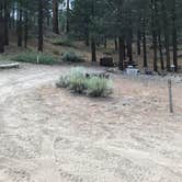 Review photo of Big Springs Campground by Paul C., July 22, 2019