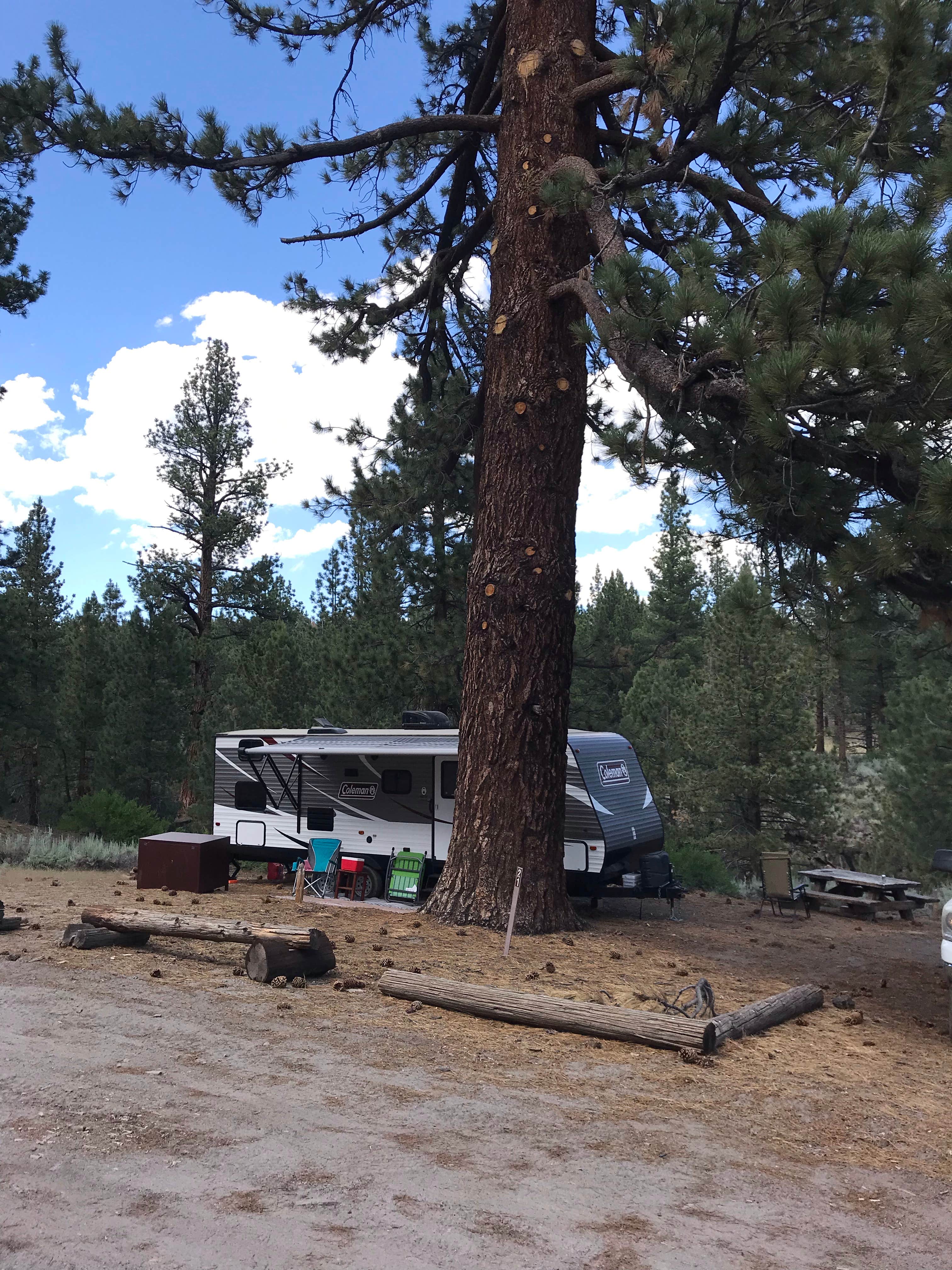 Camper submitted image from Big Springs Campground - 5