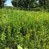 Review photo of Medora Campground by Fadelle  P., July 22, 2019