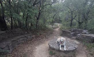 Mark M.'s photo of camping with pets at Lake Brownwood State Park Campground near Eastland, TX