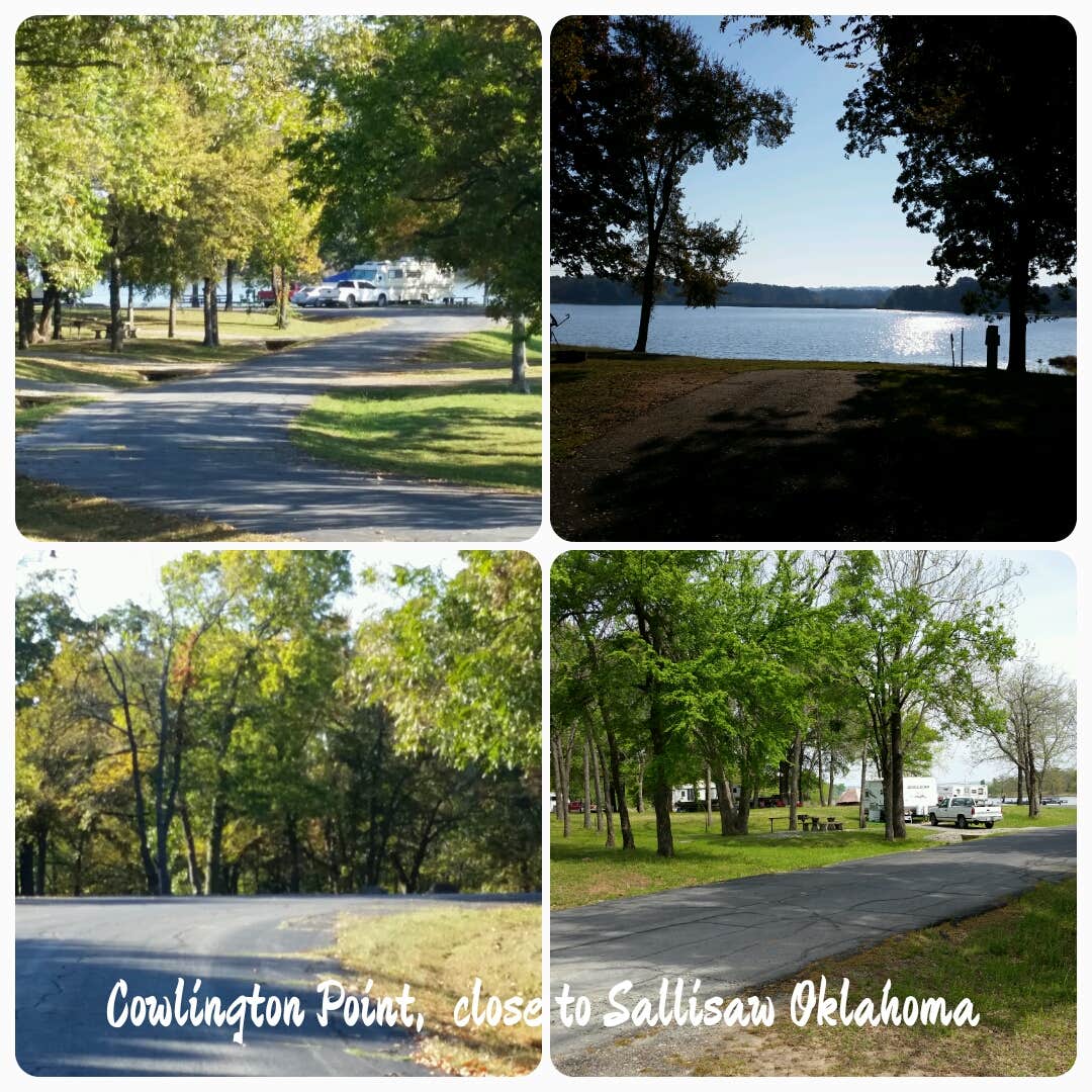 Camper submitted image from Cowlington Point - 3