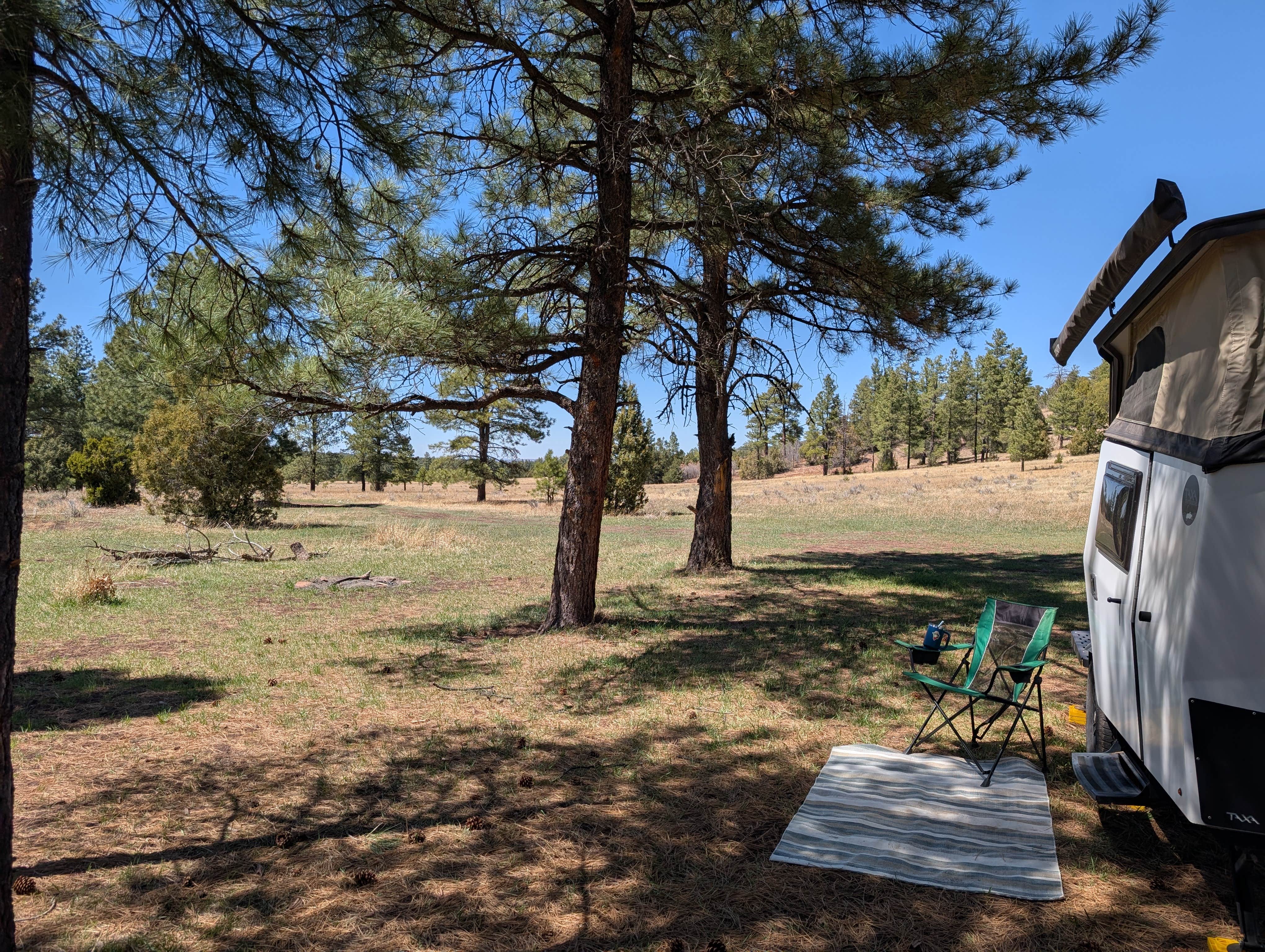 Camper-submitted photo at Turkey Springs near Prewitt, NM