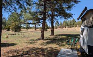 Timothy N.'s photo at Turkey Springs near Bluewater Village, NM