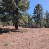 Review photo of Turkey Springs by Timothy N., April 26, 2025