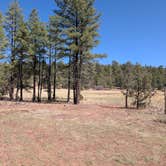 Review photo of Turkey Springs by Timothy N., April 26, 2025