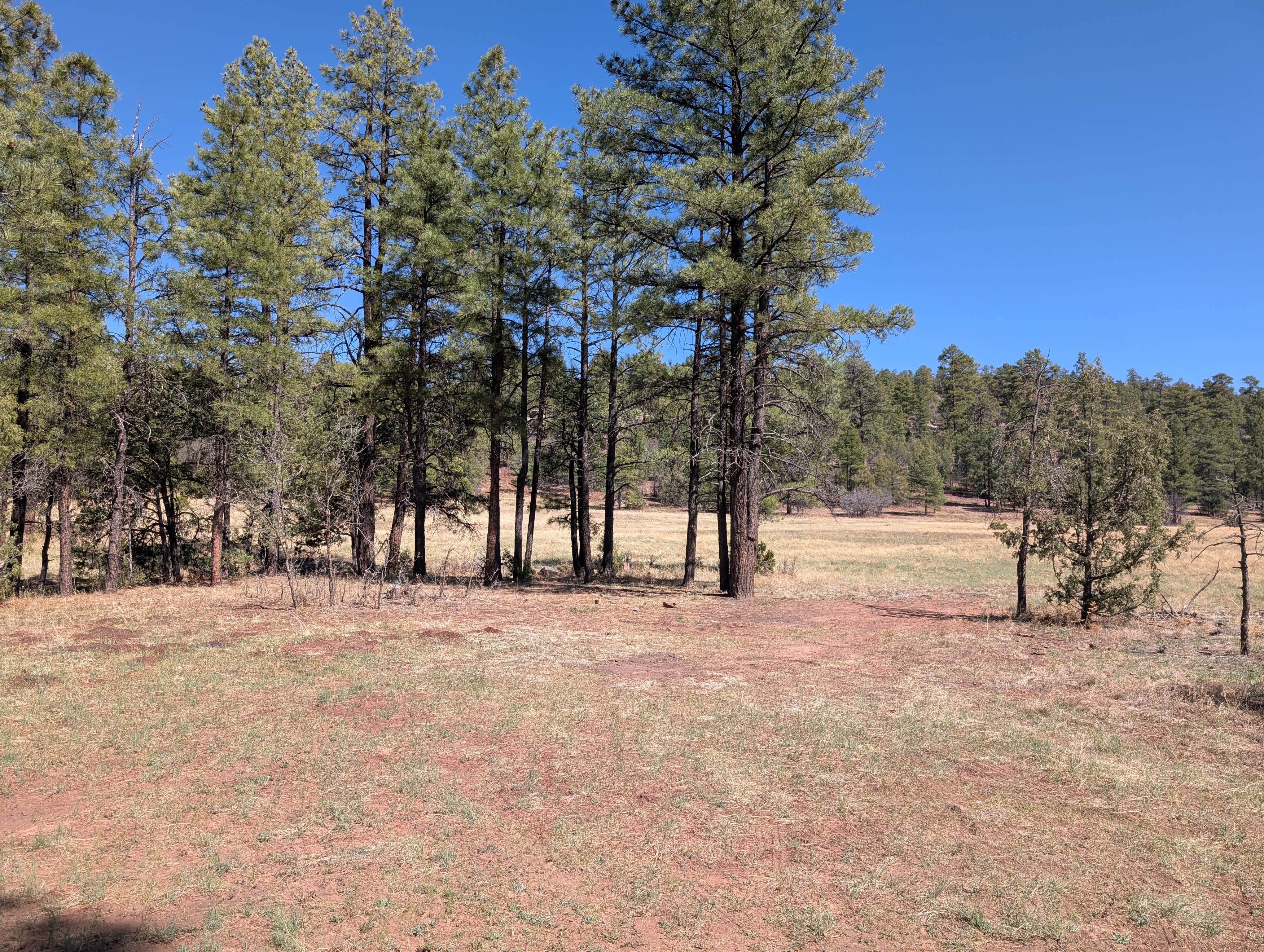 Camper submitted image from Turkey Springs - 2