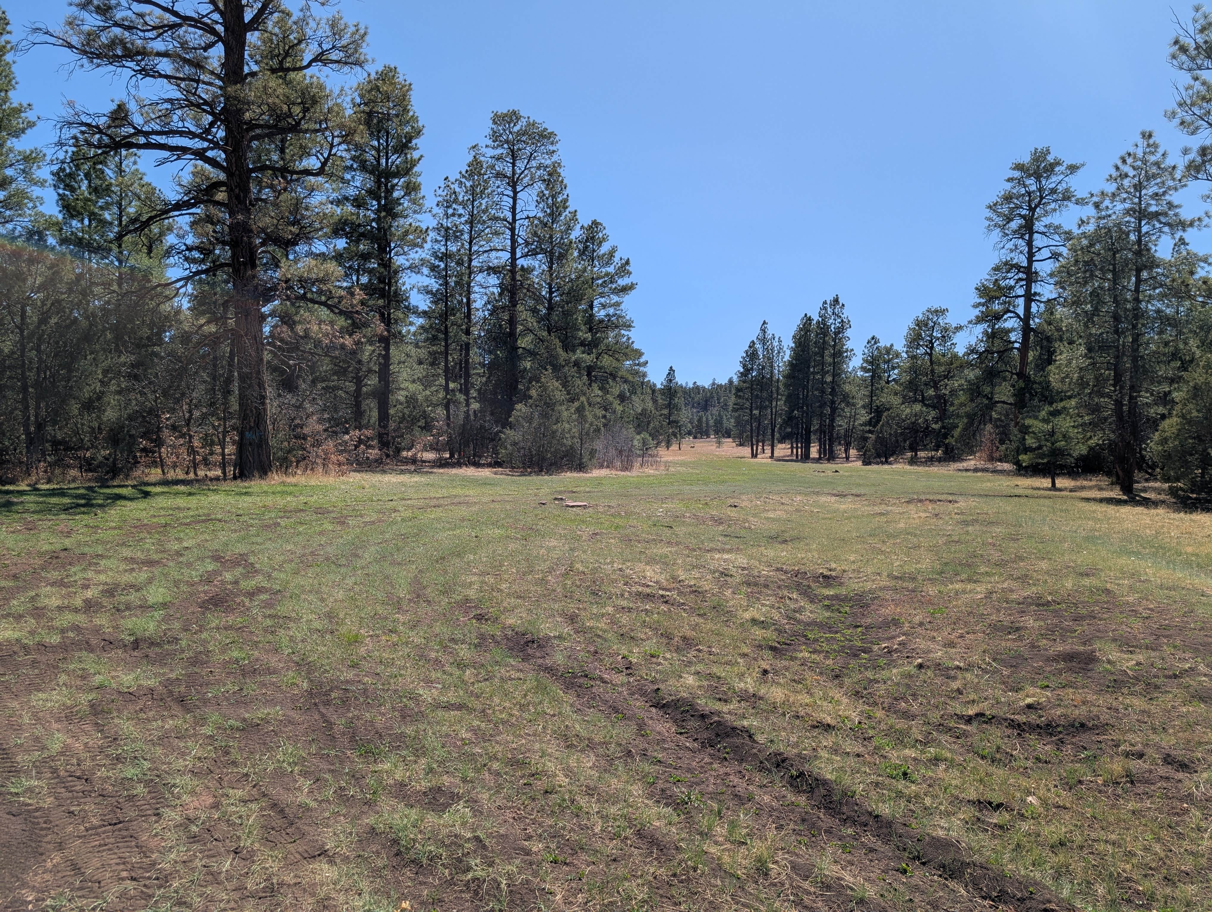 Camper-submitted photo at Turkey Springs near Gamerco, NM