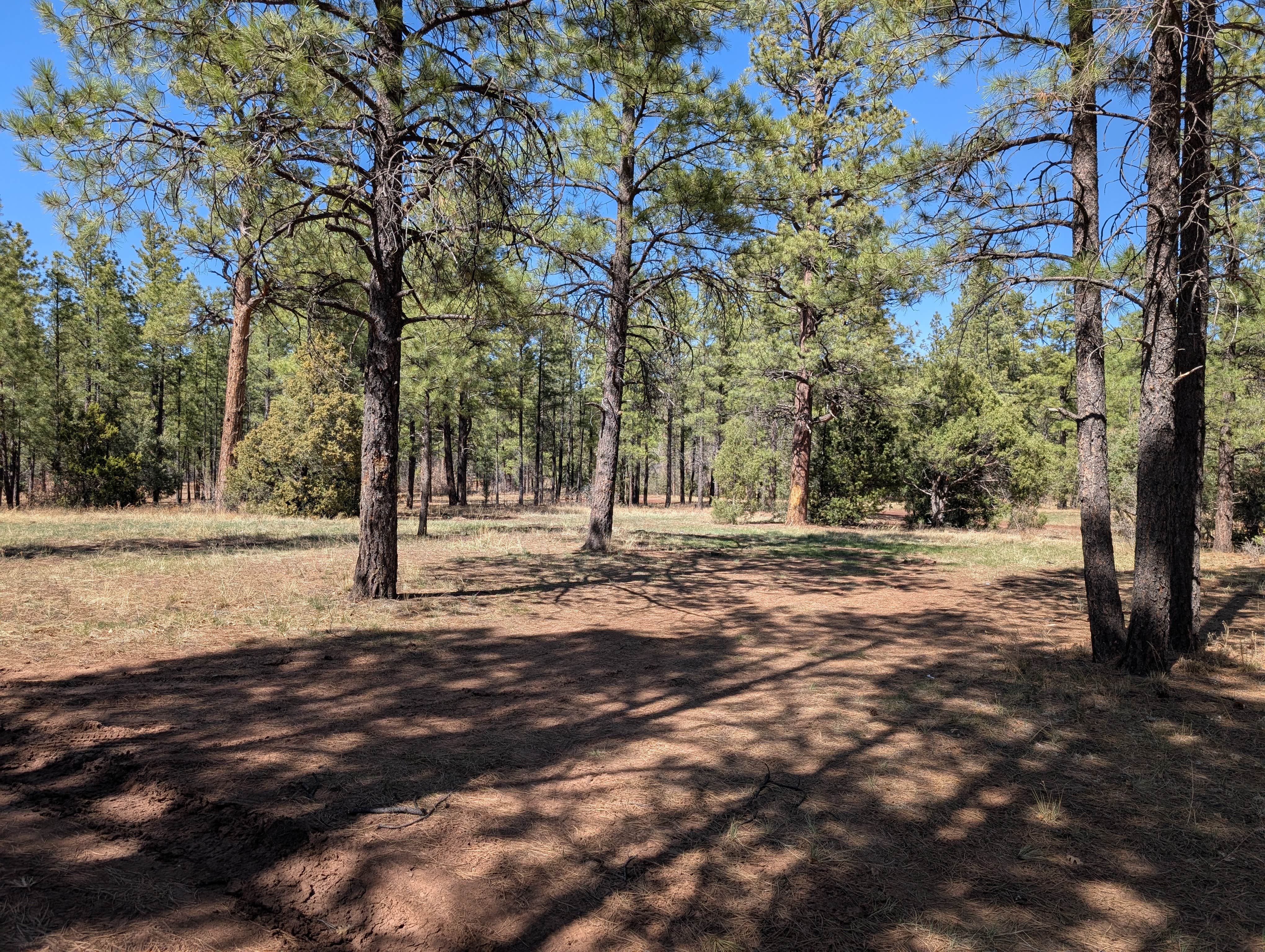 Camper-submitted photo at Turkey Springs near Gamerco, NM
