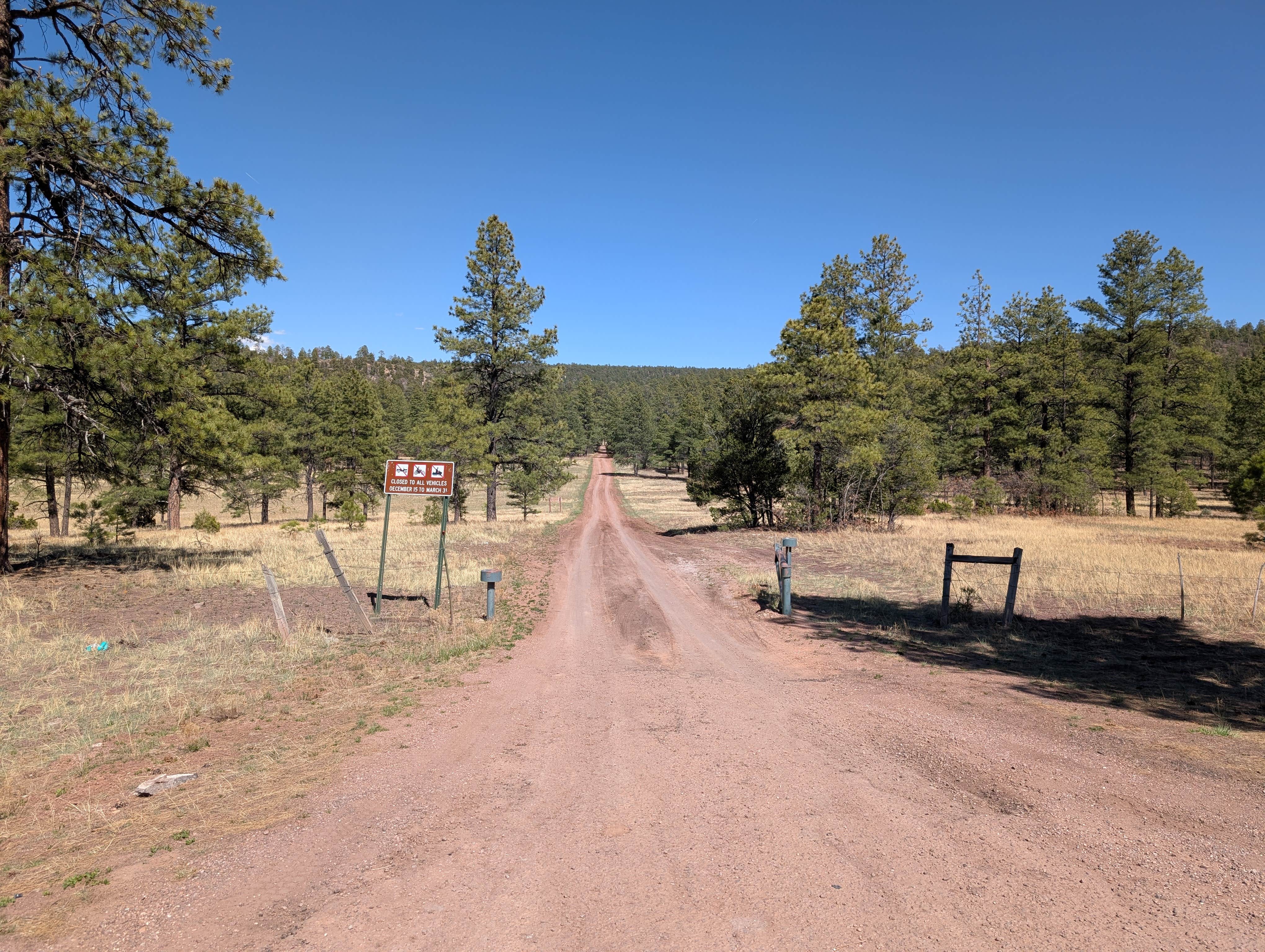 Camper submitted image from Turkey Springs - 3