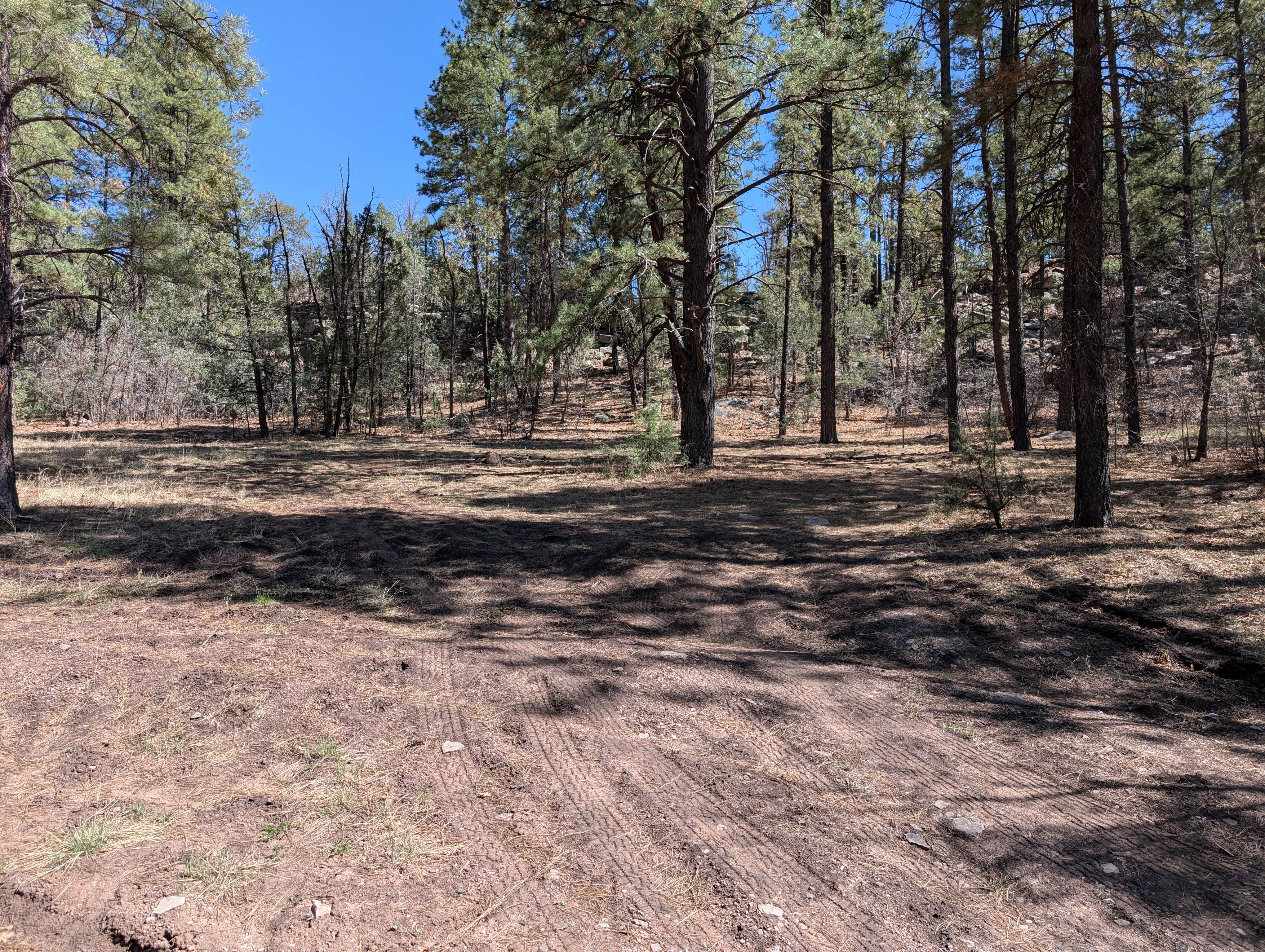 Camper submitted image from Turkey Springs - 5