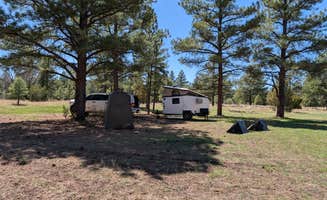 Timothy N.'s photo at Turkey Springs near San Mateo, NM