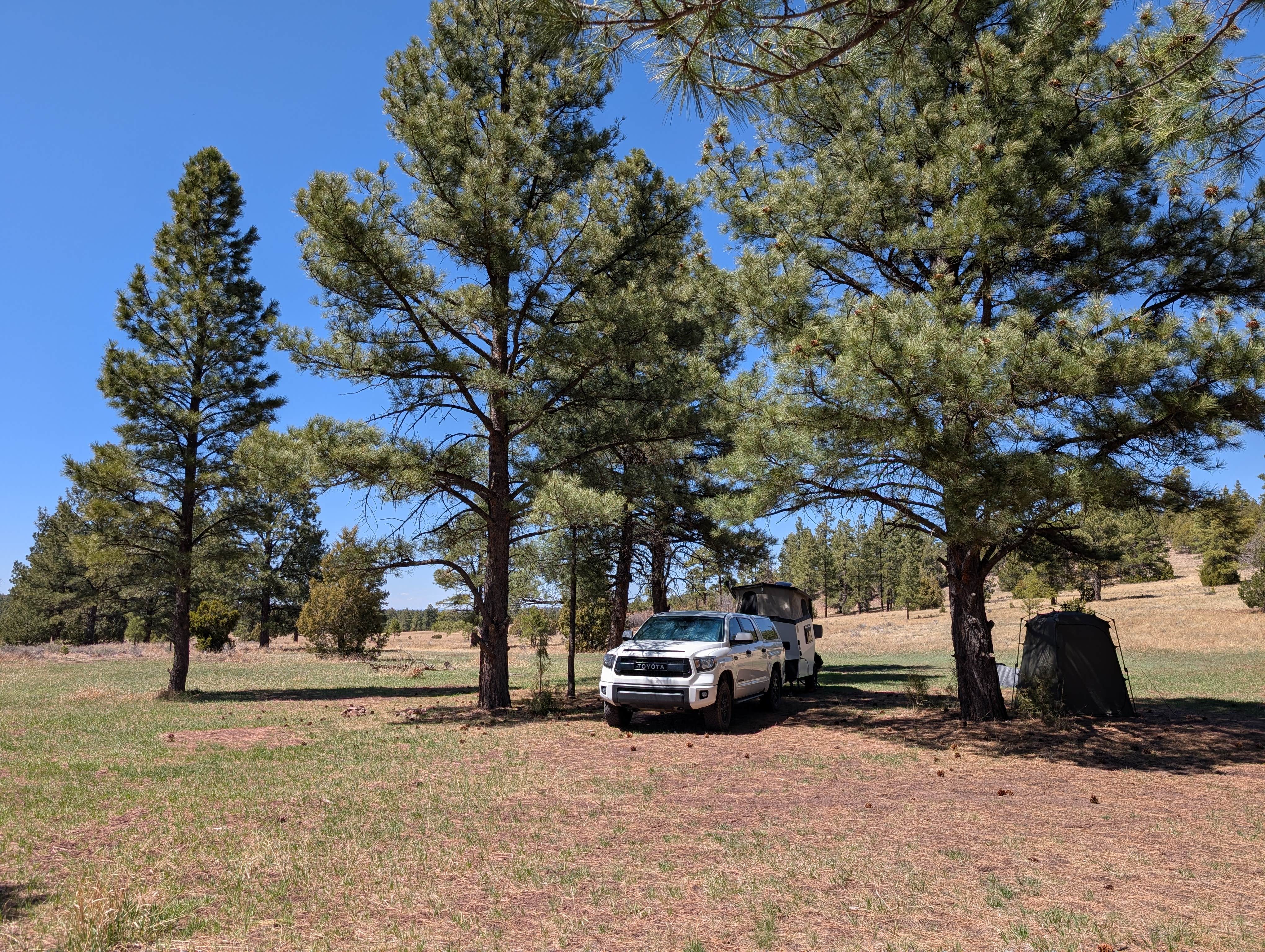 Camper-submitted photo at Turkey Springs near Prewitt, NM