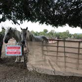 Review photo of Ancient Cedars Mesa Verde RV Park by Erin S., July 22, 2019