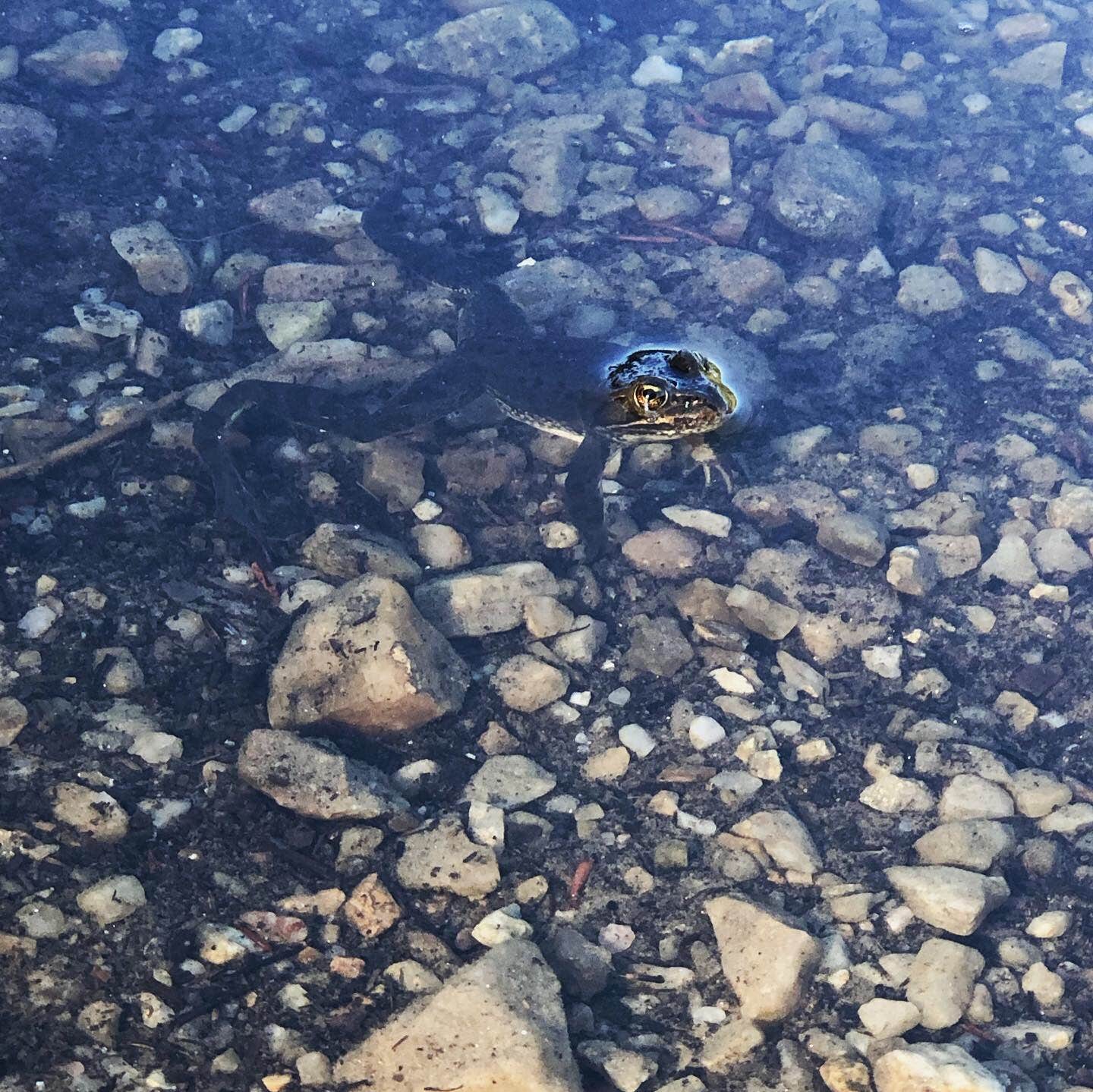 Camping near Emerald Lake: Davis Lake Campground, Boyds, Washington