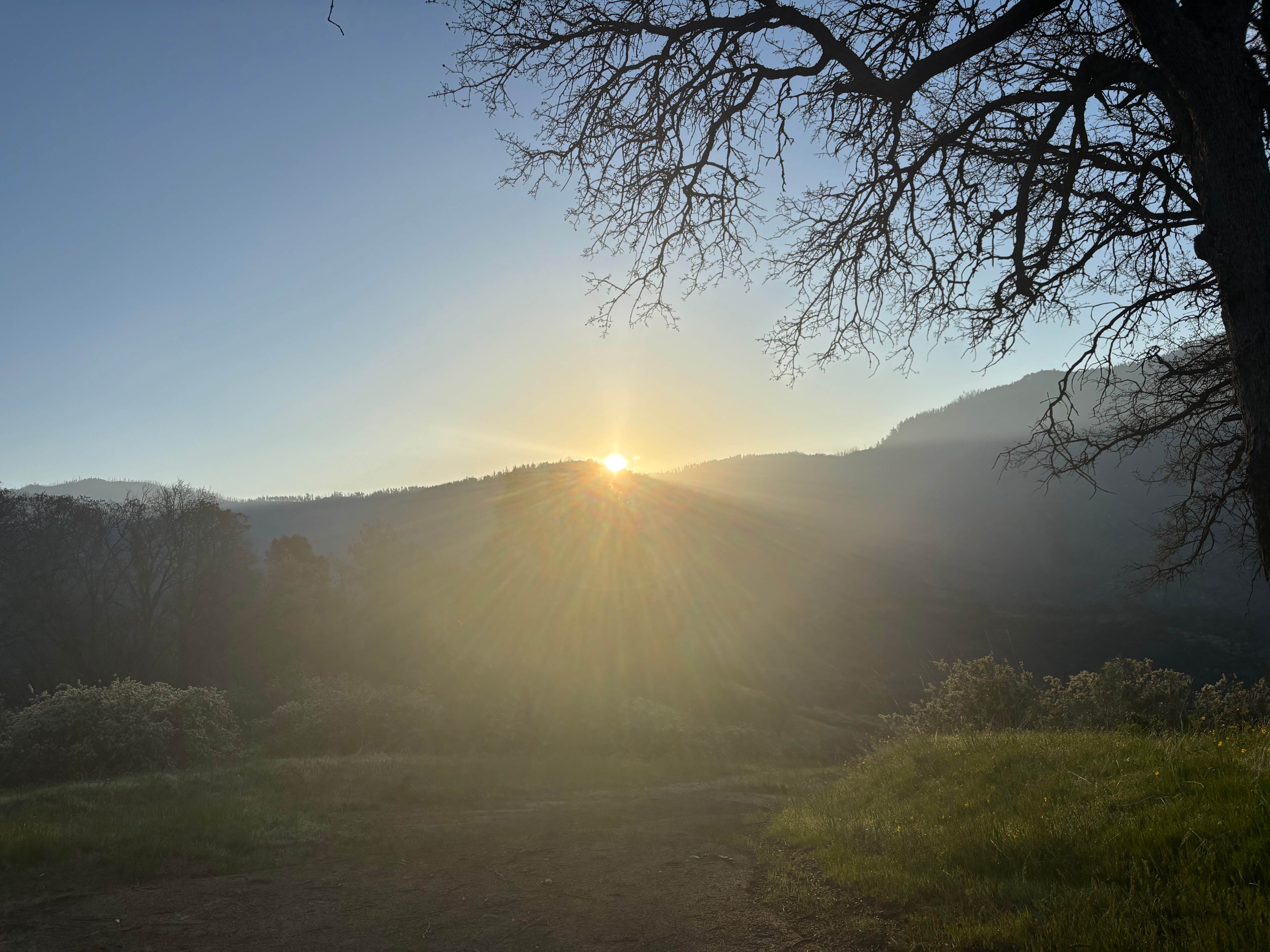 Camper-submitted photo at Evans Road Dispersed Camping near Pixley, CA