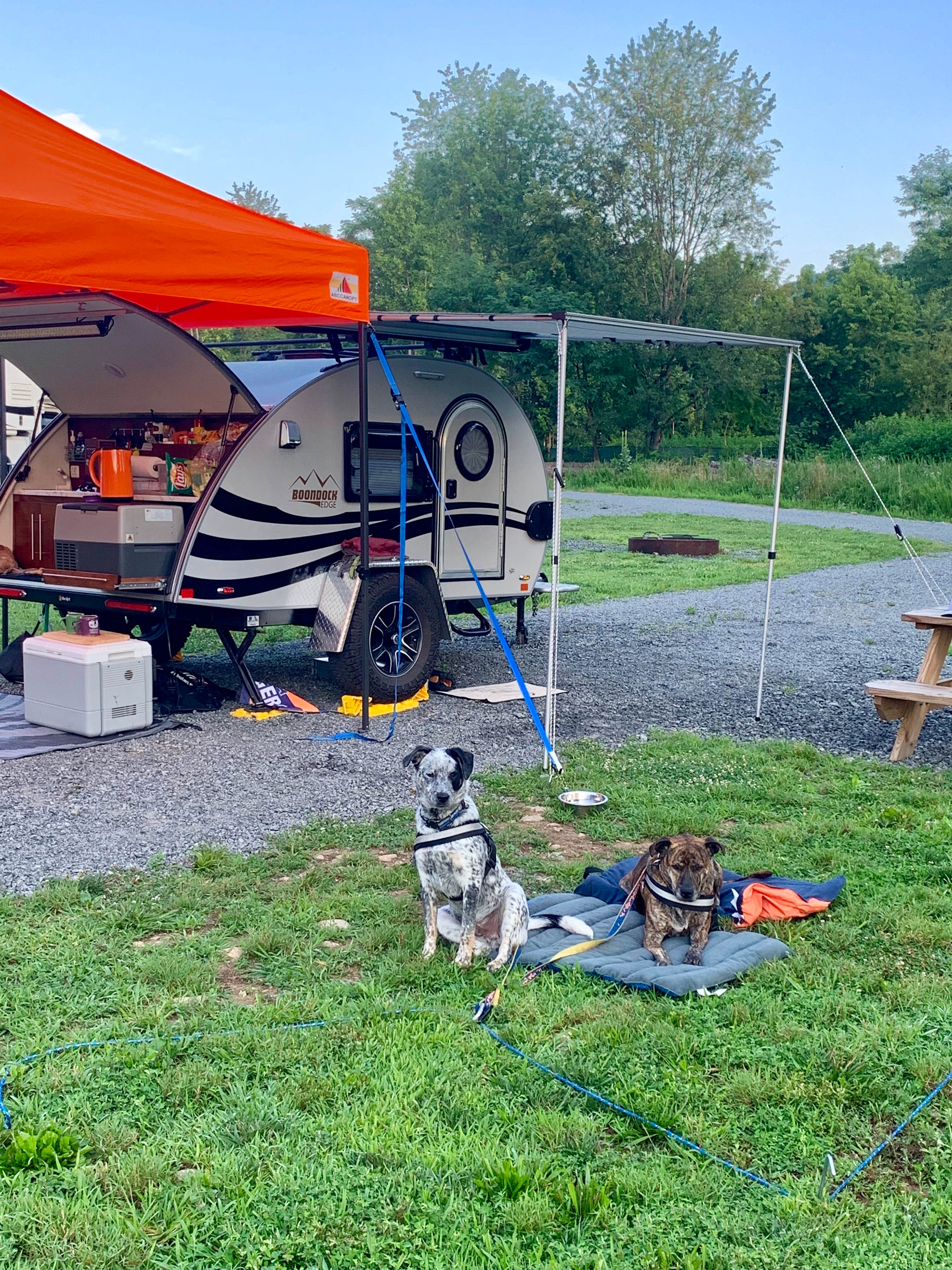 Steve V.'s photo of camping with pets at Devils Backbone Camp near Crimora, VA