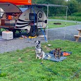 Review photo of Devils Backbone Camp by Steve V., July 22, 2019