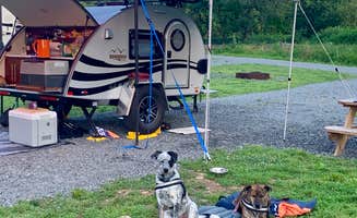 Steve V.'s photo of camping with pets at Devils Backbone Camp near Montebello, VA