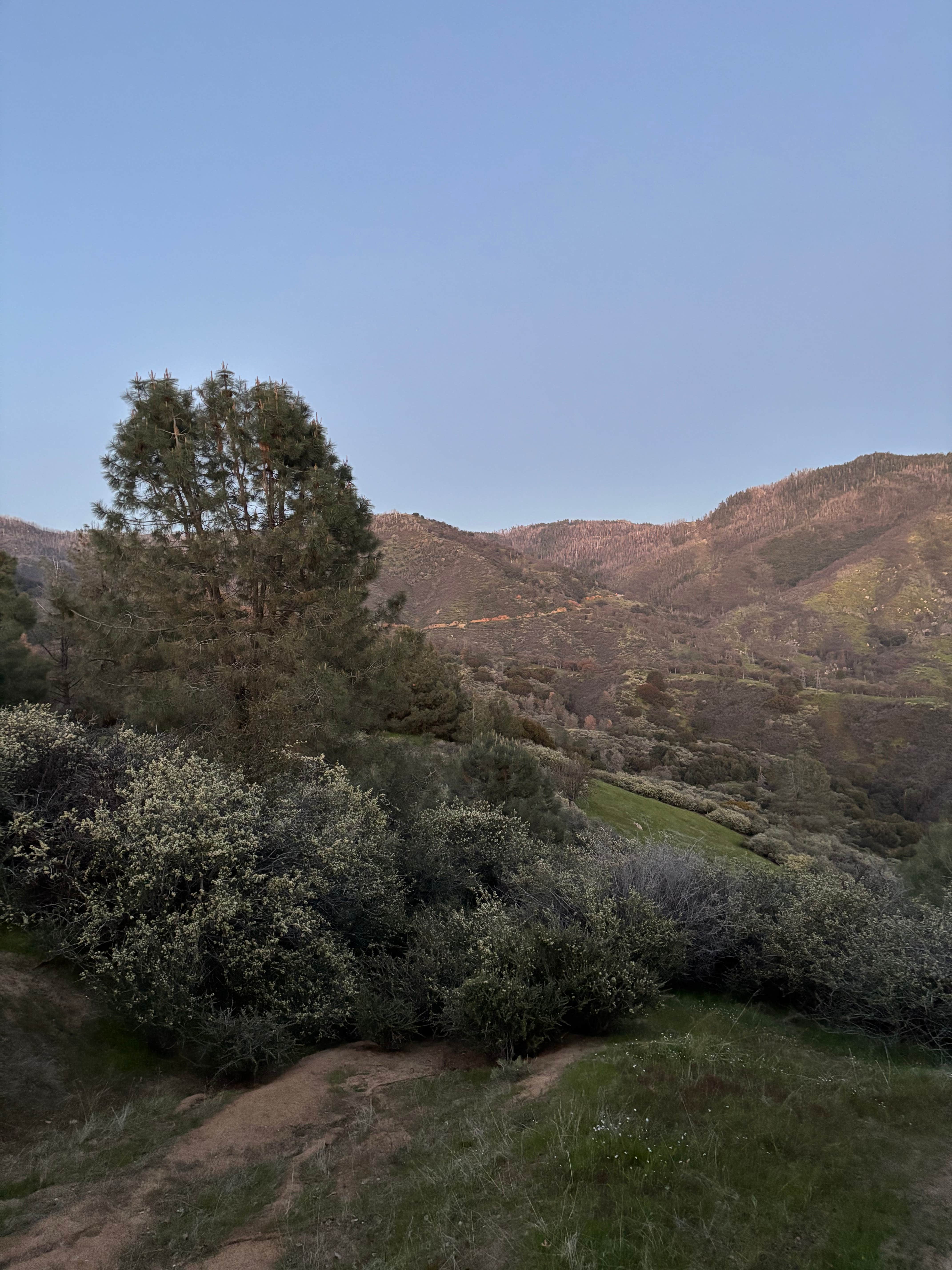 Camping near Keyesville Recreation Area Dispersed: Evans Road Dispersed Camping, Posey, California