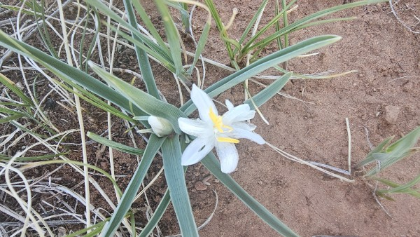 Camper-submitted photo at RV Park near Gould, CO
