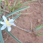 Review photo of RV Park by Beth W., April 27, 2025