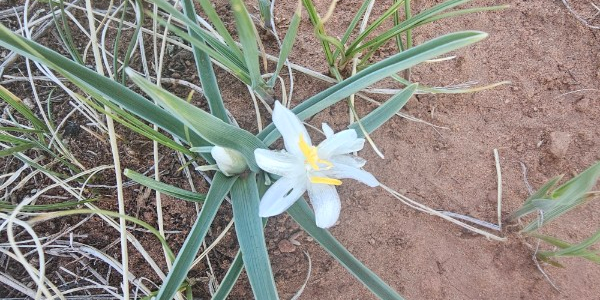 Camper submitted image from RV Park