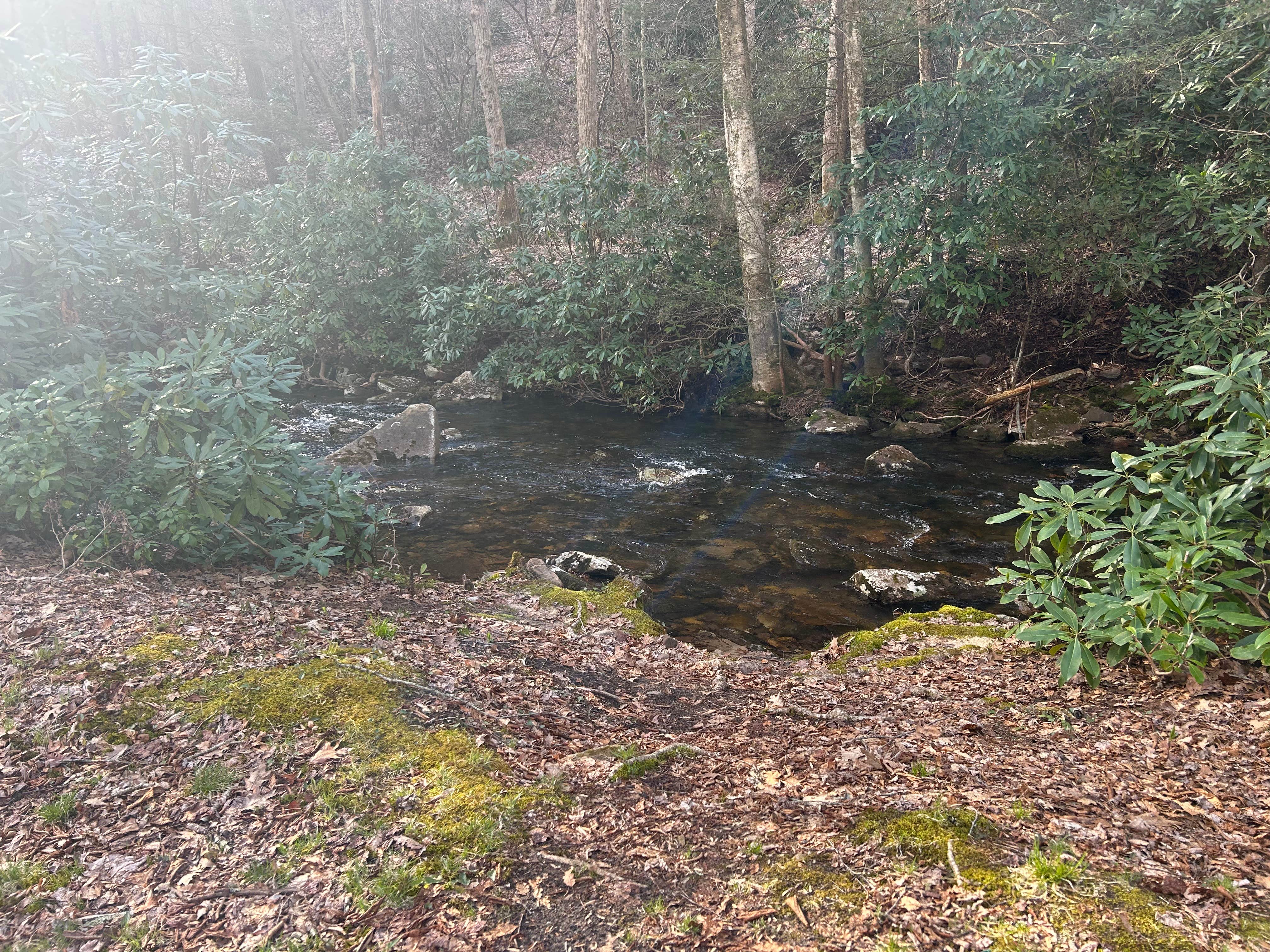 Camper-submitted photo at Little Tumbling Creek near Bland, VA