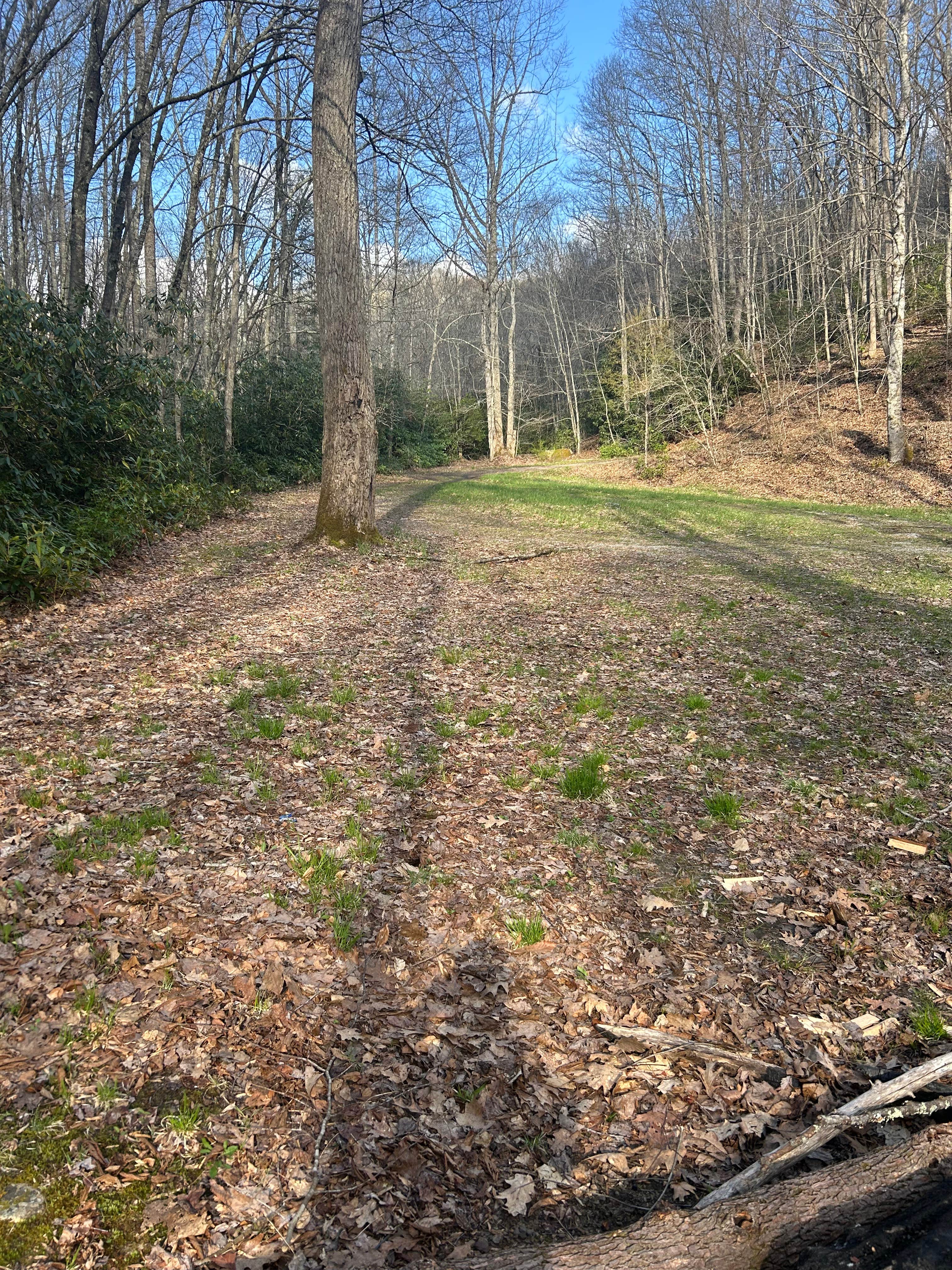 Camper-submitted photo at Little Tumbling Creek near Bland, VA