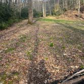 Review photo of Little Tumbling Creek by sean , April 27, 2025