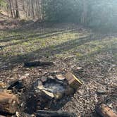 Review photo of Little Tumbling Creek by sean , April 27, 2025