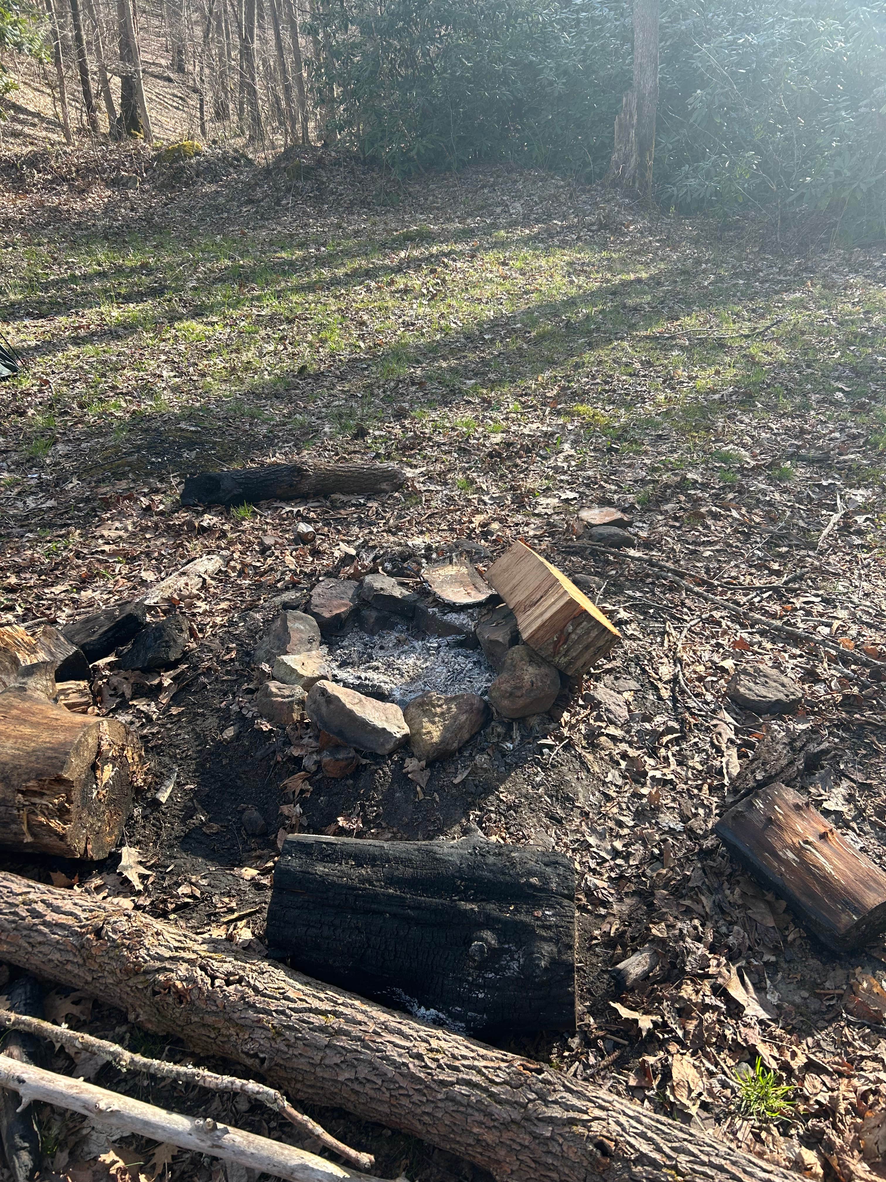 Camper submitted image from Little Tumbling Creek - 1