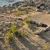 Review photo of Spread Creek Dispersed Campground by Robin H., April 28, 2025