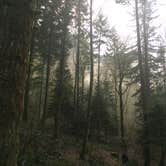 Review photo of Ainsworth State Park Campground by Sarah S., December 15, 2014