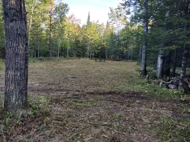 Camper-submitted photo at Whispering Pines near Cotton, MN