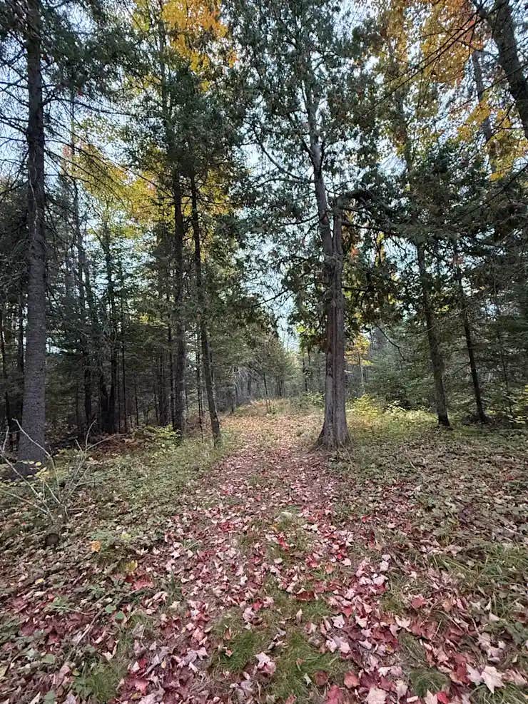 Camper submitted image from Whispering Pines - 1