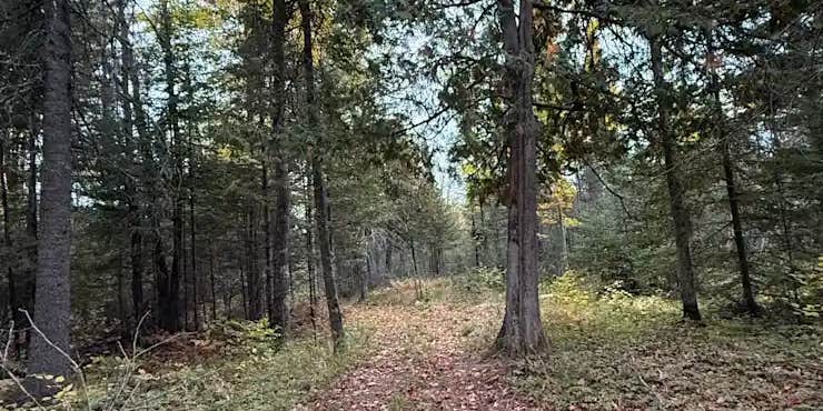 Camper submitted image from Whispering Pines