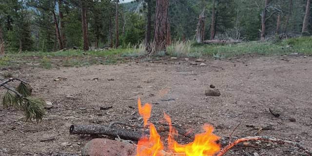 Camper submitted image from Pole Hill Rd Dispersed