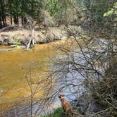 Review photo of Silver Creek State Forest Campground by Brad S., April 30, 2025