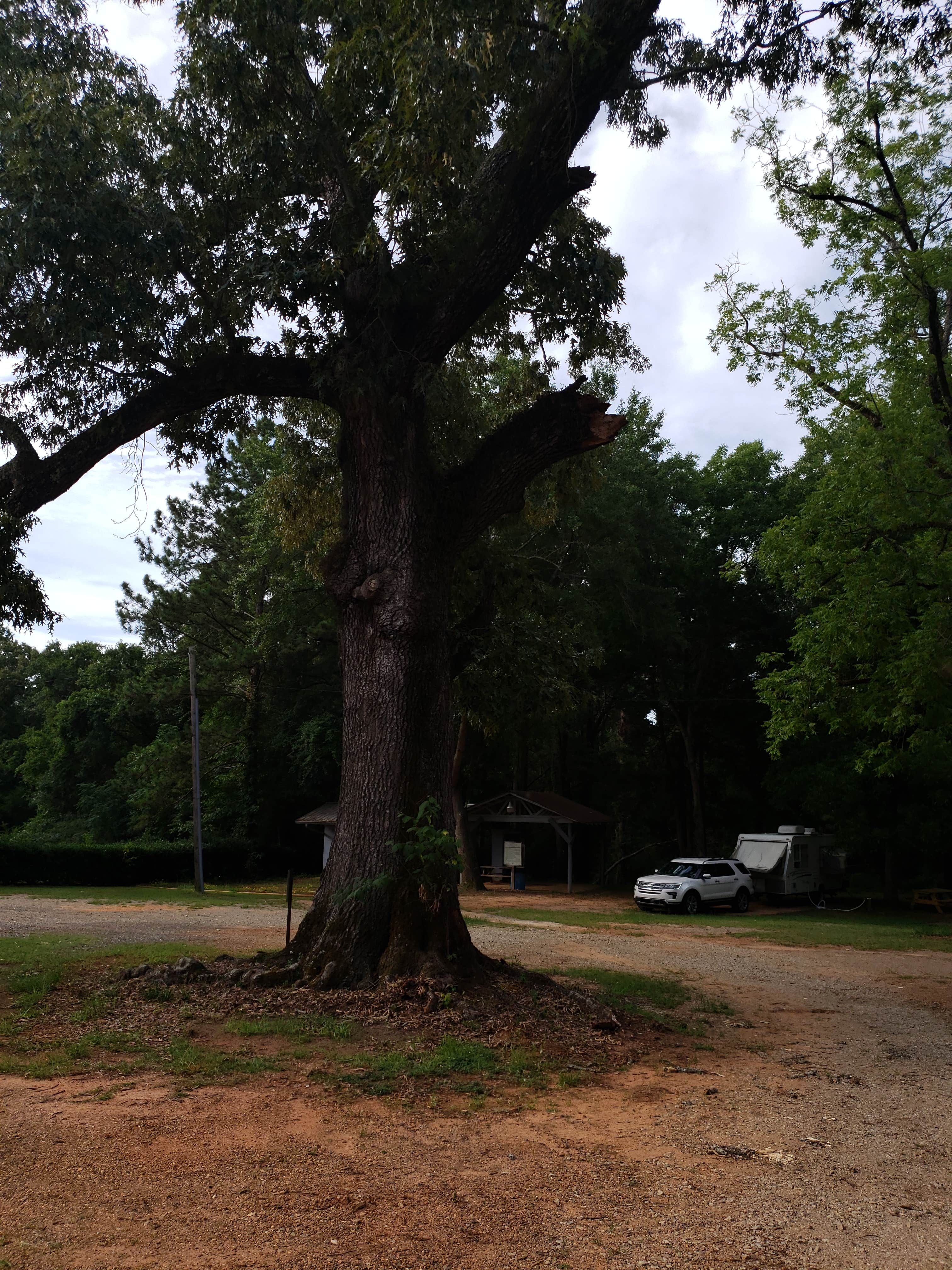 Camper-submitted photo at Andersonville City Campground near Plains, GA
