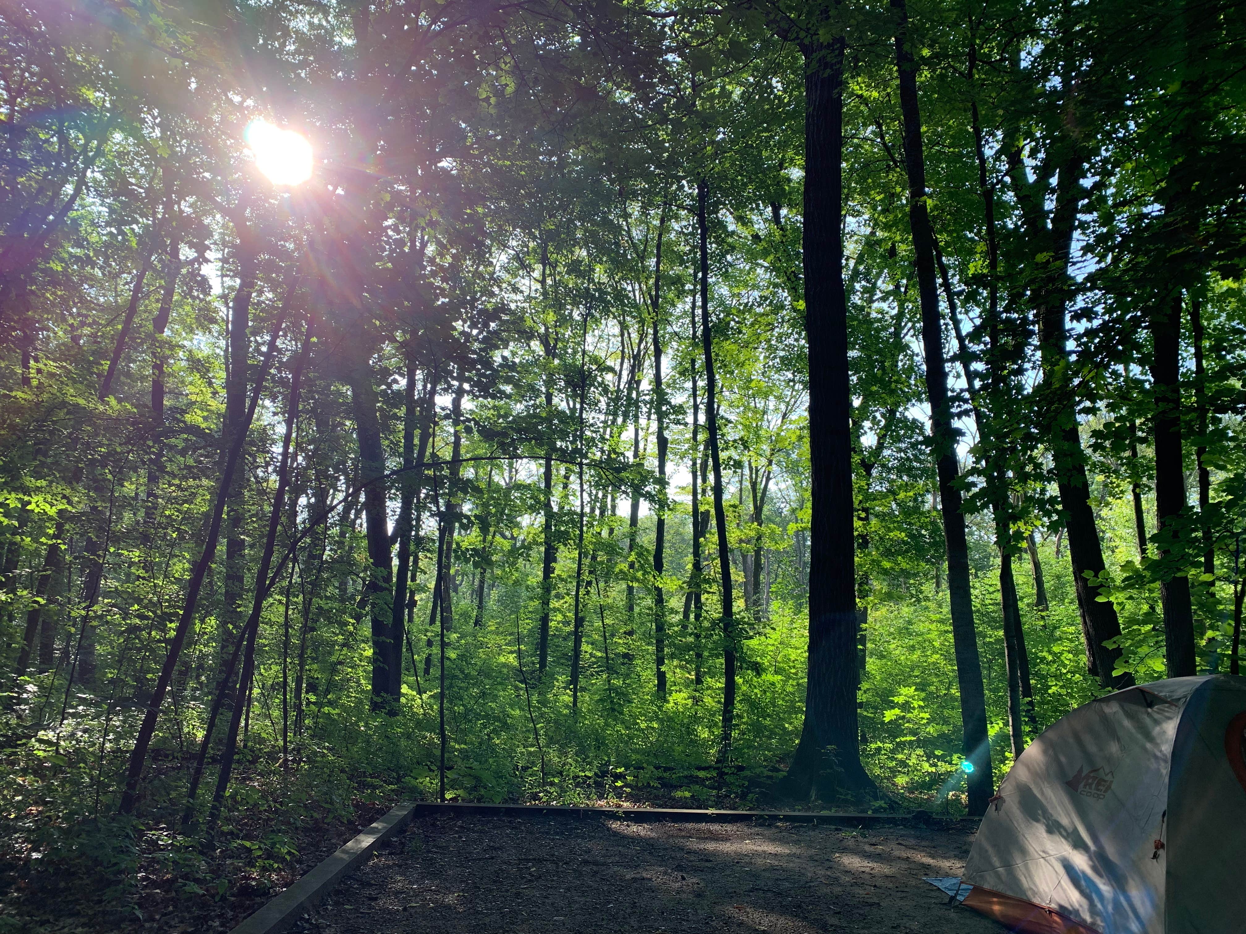 amber  N.'s photo of tent camping at Nerstrand Big Woods State Park Campground near Skyline, MN