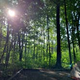 Review photo of Nerstrand Big Woods State Park Campground by amber  N., July 23, 2019