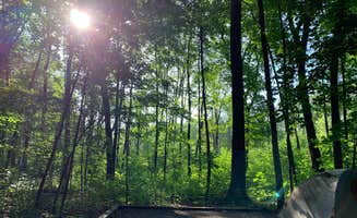 amber N.'s photo of tent camping at Nerstrand Big Woods State Park Campground near South Saint Paul, MN