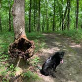 Review photo of Nerstrand Big Woods State Park Campground by amber  N., July 23, 2019