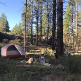 Review photo of Deschutes National Forest Dispersed Camping Spot - PERMANENTLY CLOSED by Kaelin P., July 23, 2019