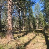 Review photo of Deschutes National Forest Dispersed Camping Spot - PERMANENTLY CLOSED by Kaelin P., July 23, 2019