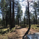 Review photo of Deschutes National Forest Dispersed Camping Spot - PERMANENTLY CLOSED by Kaelin P., July 23, 2019