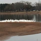Review photo of Lakeside Landing RV Park & Marina by Tiana K., July 23, 2019
