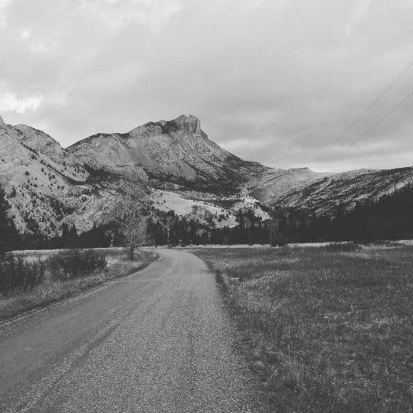Camper submitted image from Home Gulch Campground - 2