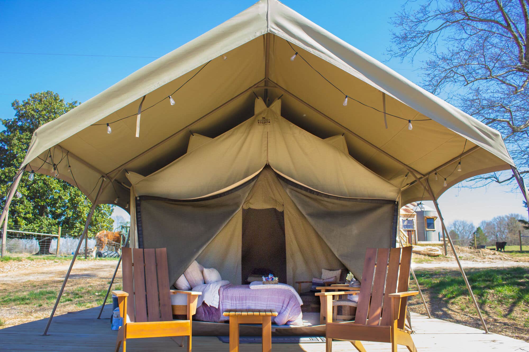 The Dyrt's photo of glamping accommodations at WyldStay Greenville near White Stone, SC