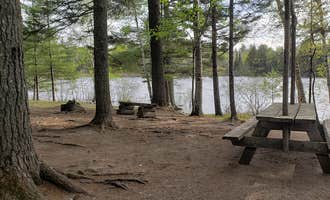 Camping near Kidney Pond Cabins — Baxter State Park: Abol Pines State Campsite, Millinocket, Maine
